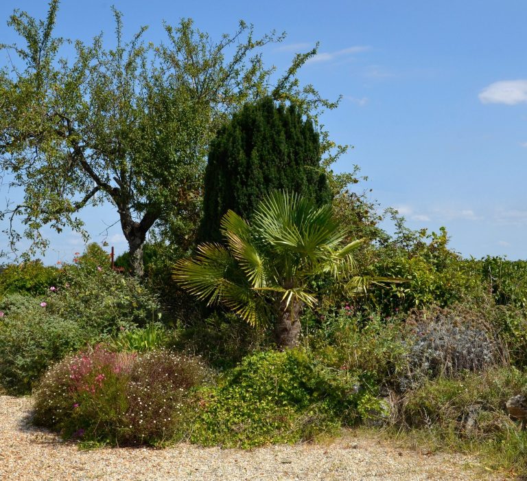 Photo extérieur (jardin) du domaine des ortinières